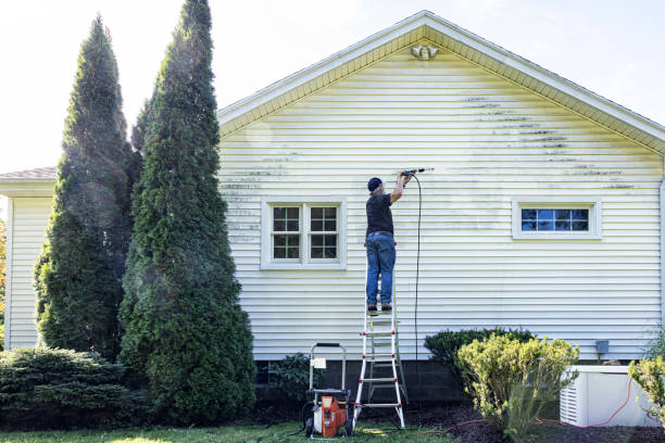 Best Driveway Cleaning and Restoration in Rotan, TX